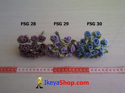 FSG 28 30  large2